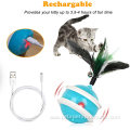 PGRADED USB RECHARDEABLE Updated Version electronic cat toys